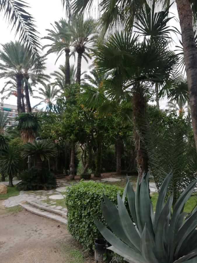 Penthouse Op Toplocatie Orihuela Exteriér fotografie